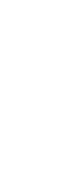 Case